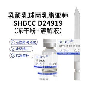 乳酸乳球菌乳脂亚种SHBCC D24919非模式菌株MRS肉汤培养基37℃