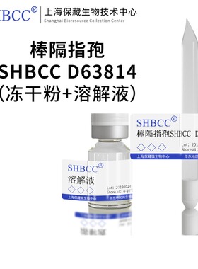 棒隔指孢SHBCC D63814非模式菌株PDA培养基25℃培养冷藏4-10℃斜