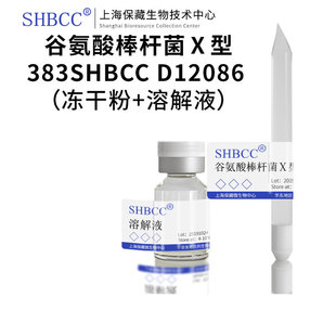 谷氨酸棒杆菌Ⅹ型383,SHBCC D12086 =383 非模式菌株牛肉膏微量元