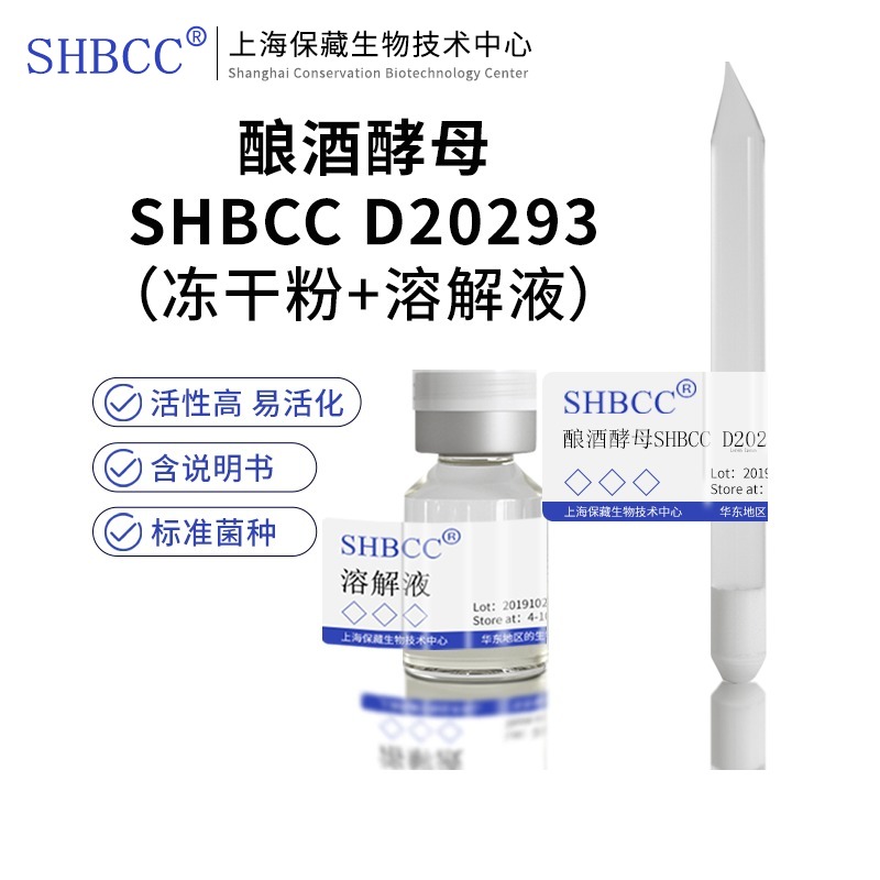 酿酒酵母SHBCCD20293非模式菌株