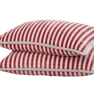 珊瑚绒枕套一对装秋冬加绒家用法兰牛奶绒单人枕头套枕芯套内胆套