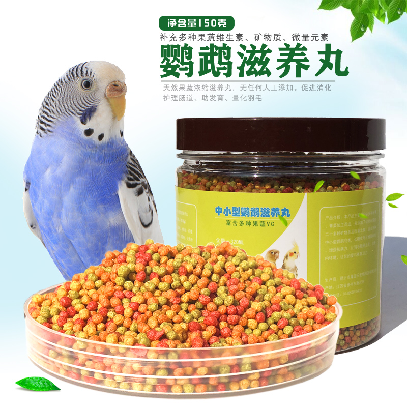 中小型鹦鹉滋养丸虎皮活体玄凤
