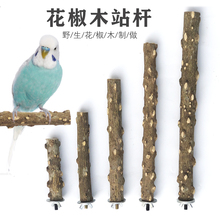 花椒木站杆玄凤八哥画眉绣眼虎皮鹦鹉磨爪棒鸟站棍站架鸟笼具配件
