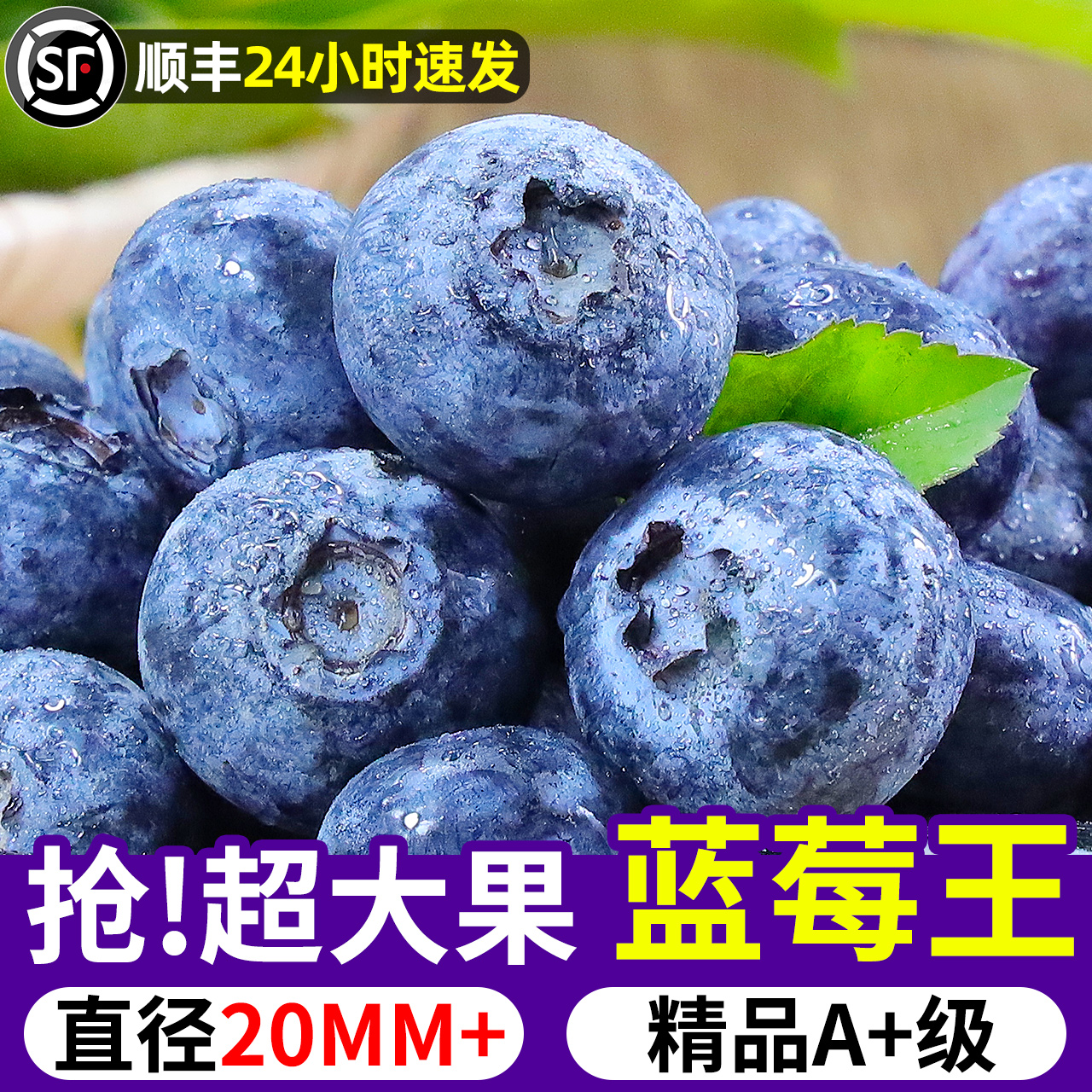 进口蓝莓新鲜当季水果蓝梅鲜果高山怡颗甜蓝莓孕妇大果顺丰速发使用感如何?