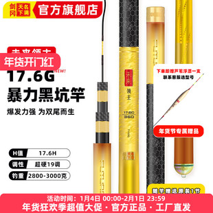剑冈名满天下未来领主17.6G超硬19调黑坑竿飞抄飞磕碳素台钓鱼竿
