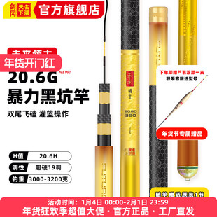 剑冈名满天下未来领主20.6G超硬19调暴力黑坑竿鲫鲤竿台钓竿鱼竿