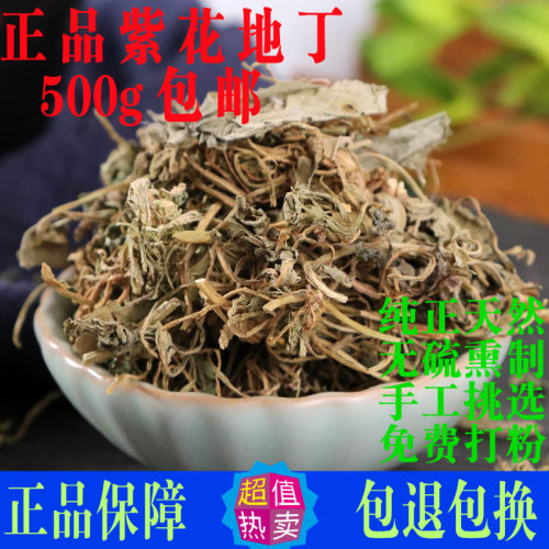 紫花地丁中药材苦地丁草犁头草