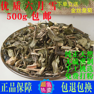 六月雪 中草药正品野生中药材500包邮满天星白马骨路边金三伏泡水