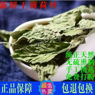 新鲜食用药用泡水喝泡茶薄荷叶粉中草药 费正品 免邮 薄荷叶中药材500g