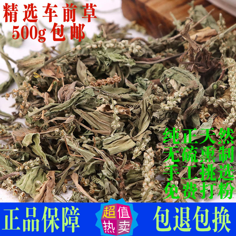 车前草干茶中药材天然正品500g包邮泡水排酸新鲜车钱草粉非同仁堂
