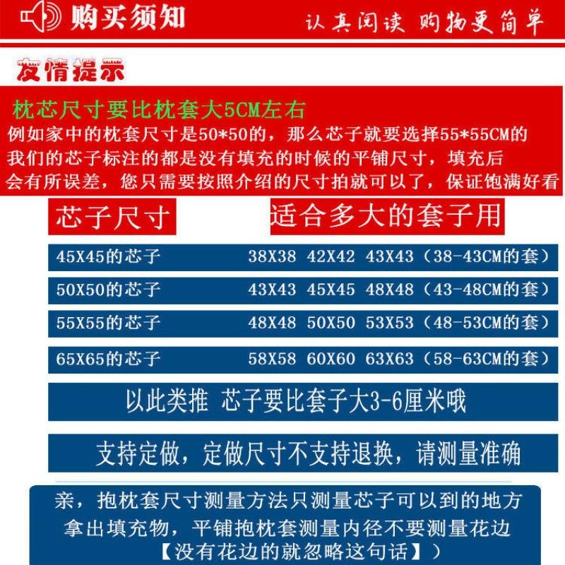 2只装抱枕芯/靠枕芯/方枕芯高弹饱满可水洗沙发靠多规格可选厂