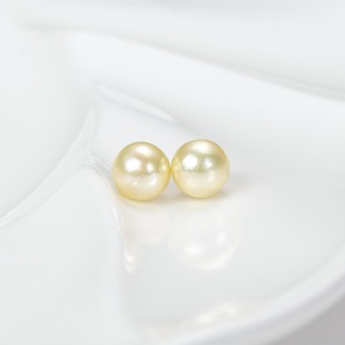 B0601 暮晨羽皇金耳钉 AKOY.A系列海水珍珠