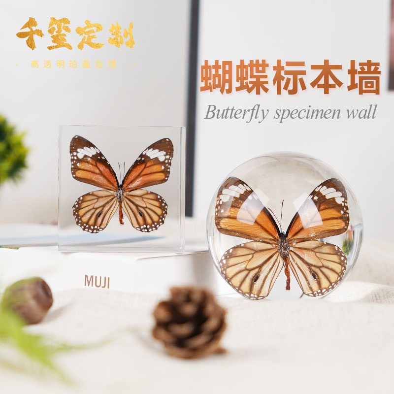 蝴蝶昆虫标本摆件植物亚克力水晶树脂样板间轻奢装饰品桌面简约设