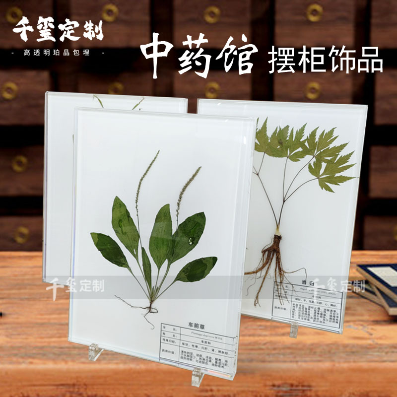 中草药植株标本树脂密封