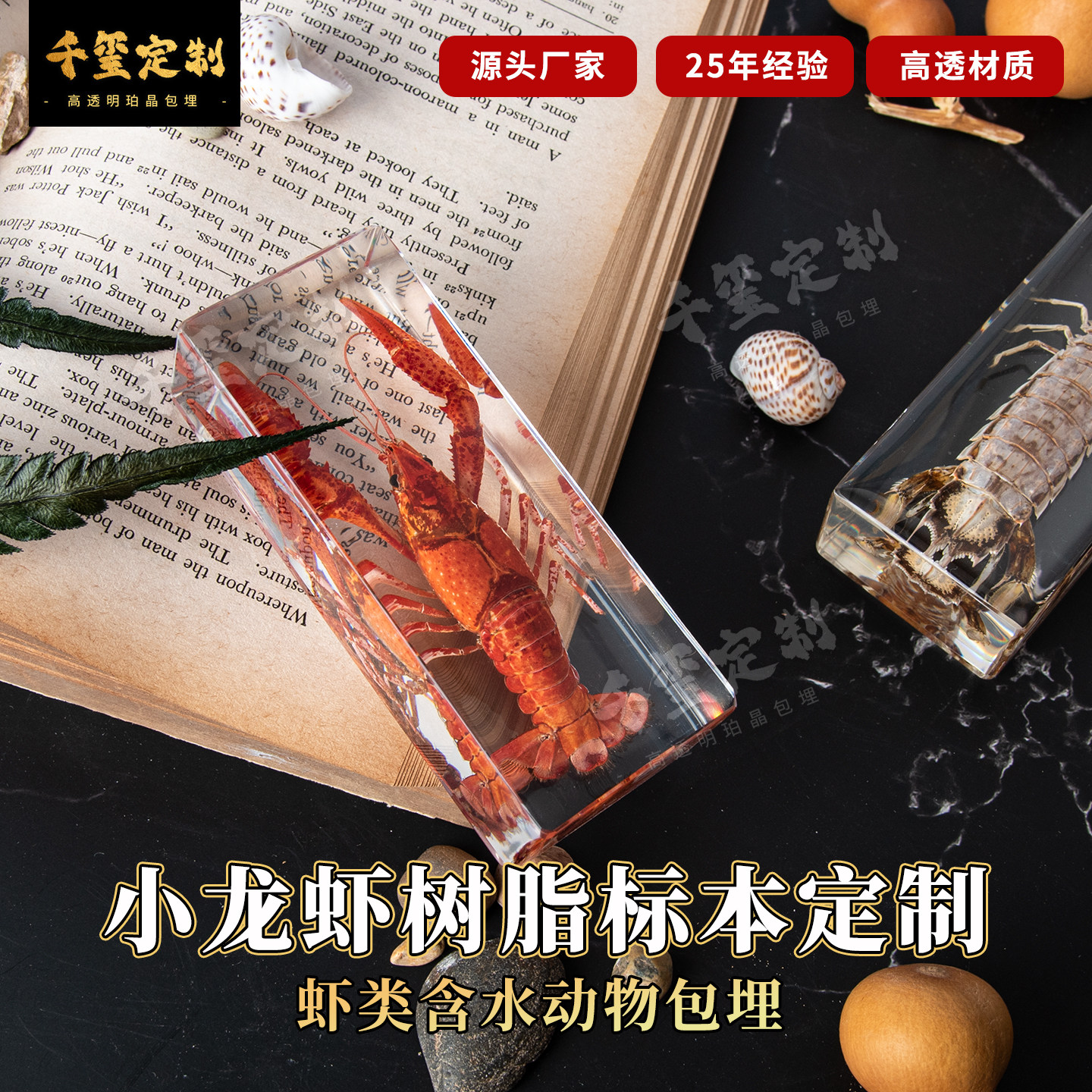 小龙虾树脂标本定制水产动物生物包埋螃蟹虾类科研教具教学展示