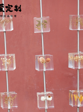 实心亚克力标本墙开孔透明树脂科普墙售楼部互动壁饰高档艺术装置