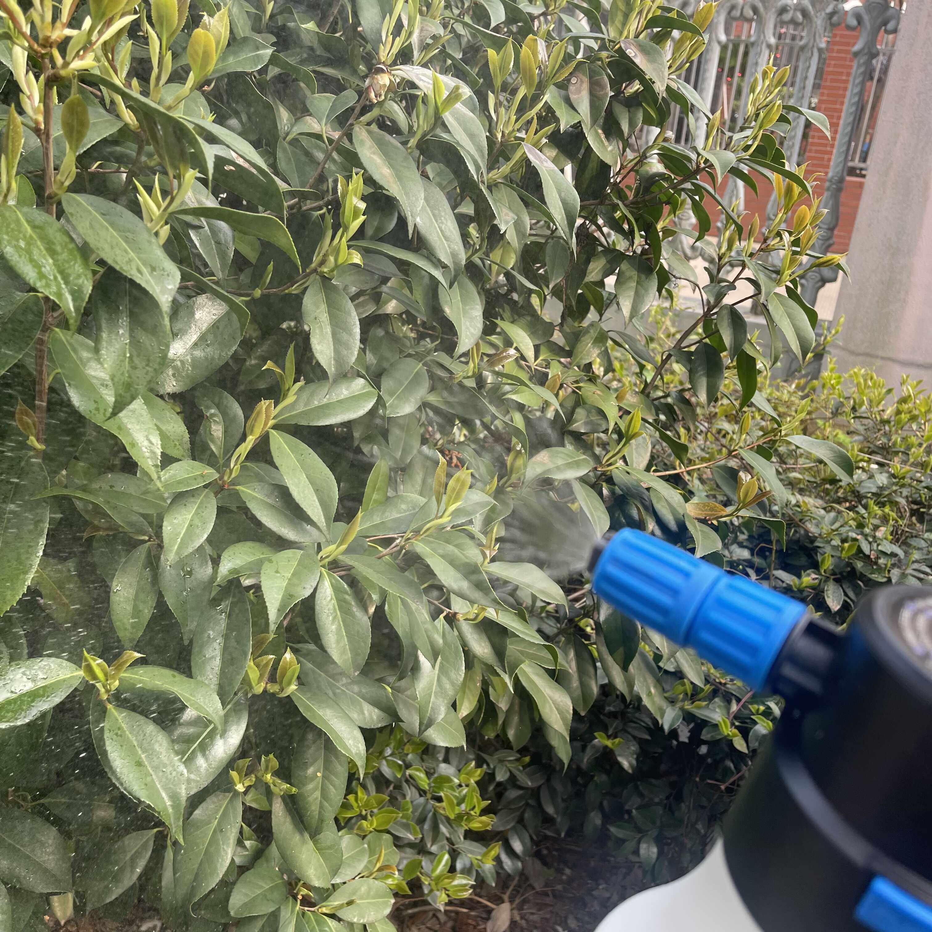 电动洗车喷壶配件泡沫专用喷头6cm口径 pa壶家用浇花喷水喷雾原装