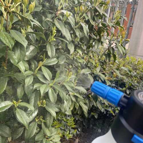 电动洗车喷壶配件泡沫专用喷头6cm口径 pa壶家用浇花喷水喷雾原装