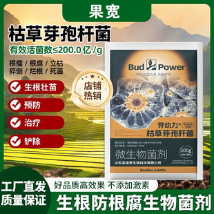 枯草芽孢杆菌生根壮苗预防病害活化土壤防根腐生物菌剂绿植杀菌剂