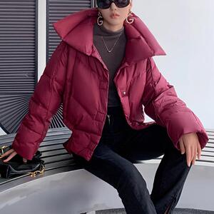 LA CHAPELLE HOMME/拉夏 时尚羽绒服潮冬季新款外套XC