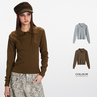 HeyHenry 坑条翻领美式长袖针织衫女短款秋冬季polo内搭打底毛衣