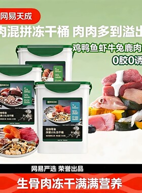 网易天成探索小队十拼冻