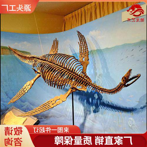 仿真蛇颈龙鱼龙骨架化石大型古生物骨骼化石复原标本模型定制