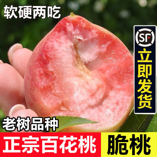 正宗百花桃高山生态露天老树血桃新鲜水果红心水蜜桃脆甜顺丰