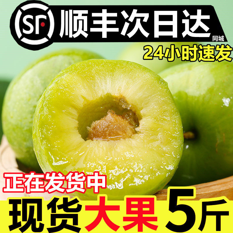 【24小时速发】青脆脱骨李顺丰