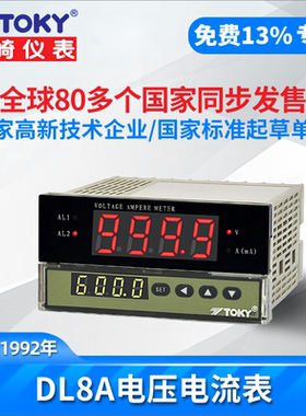 TOKY东崎DL8A-IRC10A1000电流表DL8A-RC18V600电压表IRC18A100