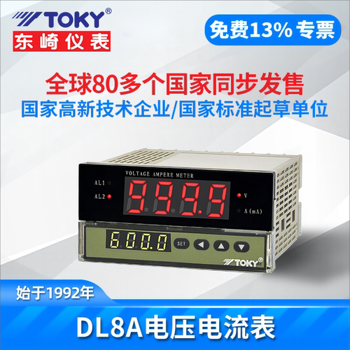 DL8A-RC10A1000电流电压表TOKY