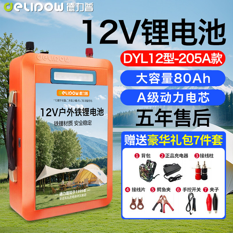 DLP德力普12v锂电池磷酸铁锂大容量led户外电源充电器摆摊24V电瓶