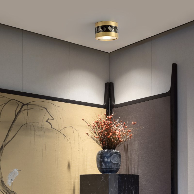 明装筒灯led全铜圆形r天花灯客厅卧室孔灯新中式吸顶走廊过道射灯