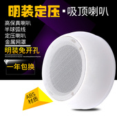 明装 吸顶喇叭店铺商场免开孔天花吊E顶音响超市背景音乐公共广播
