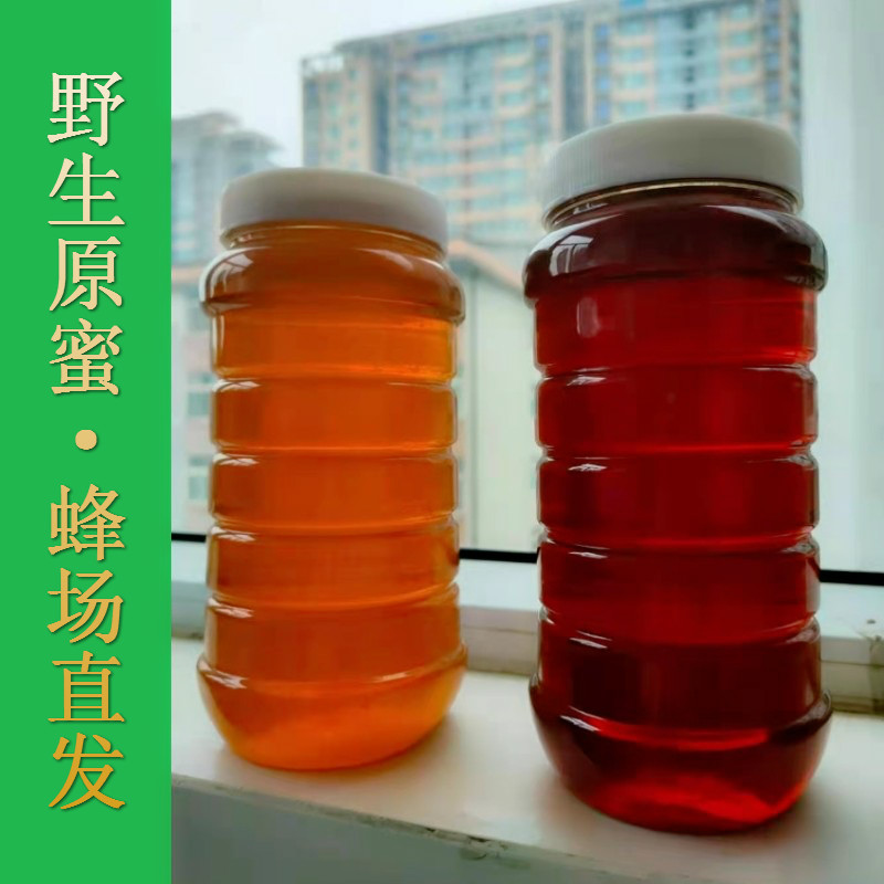 玻璃瓶蜂蜜纯正天然野生农家自产百花结晶土蜂蜜固态蜜蜂巢蜜老巢