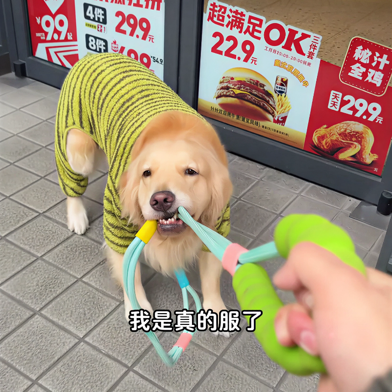 狗狗牵引绳多巴胺防爆冲防挣脱中小型犬户外训犬专用多功能遛狗绳,宠物/宠物食品及用品,狗牵引绳,淘宝优惠券,粉丝福利购,淘宝优惠卷