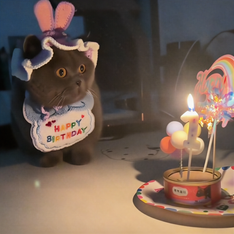 宠物ins风狗狗猫咪生日派对装扮围兜围巾派对用品口水巾毛毡帽子,宠物/宠物食品及用品,围巾/口水巾,淘宝优惠券,粉丝福利购,淘宝优惠卷