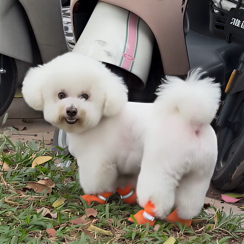 宠物舒适网鞋狗狗鞋子软底小型犬大型犬脚套夏天鞋四季通用宠物鞋,宠物/宠物食品及用品,猫狗碗/慢食碗,淘宝优惠券,粉丝福利购,淘宝优惠卷