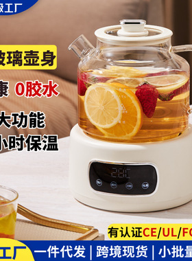 养生壶无胶水办公室煮茶专用烧水壶全玻璃壶身花茶壶跨境110V电压