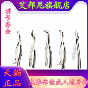 牙科上海伟荣拔牙钳成人拔牙钳子牙钳残根口腔微创星齿牙钳器械
