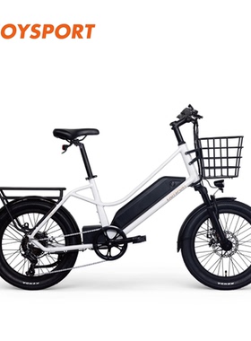 EJOYSPORT易骑运动MP Mini 1电助力自行车350瓦后轮毂电机