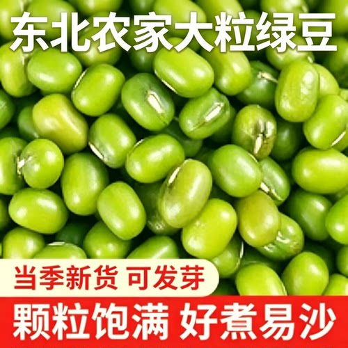 东北绿豆农家薄皮新货易沙易煮