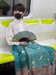 男童瑞鹤马面裙徽宗秋冬长袖儿童女童套装国风新中式复古帅气日常