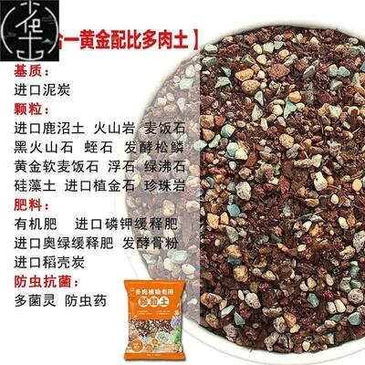 succulent vegetable spec, soil, granule, stone spec nutrient