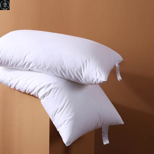 PillowcorefHotBeng48