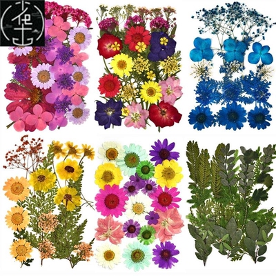 DIY Dried Flowers Resin Mold Fillings UV Expoxy Flower for