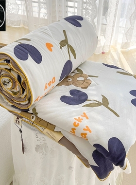 Sofe Comforter Duvet Blanket Air Condition Quilt Summer 夏被