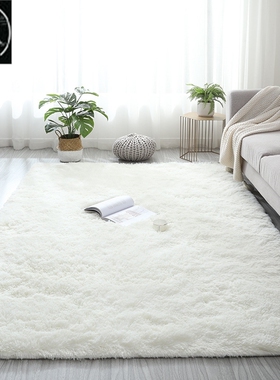 Plush Carpet Living Room Bedroom Fluffy Rug Floor Mat 地毯子