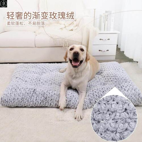 WashablePetuppyFcCDog