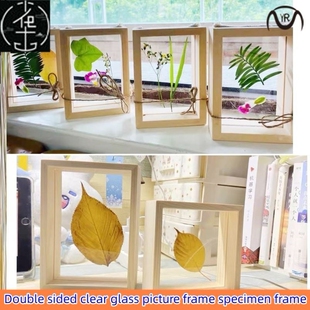 Double sided transparent acrylic photo frame specimen frame